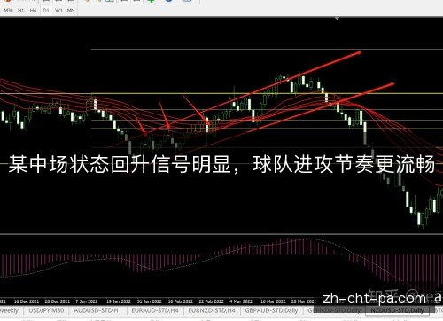 某中场状态回升信号明显，球队进攻节奏更流畅